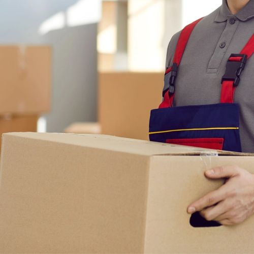 Кашон за пратки TMPD, с дръжки, 550х350х340 мм, трислойно велпапе, кафяв 1