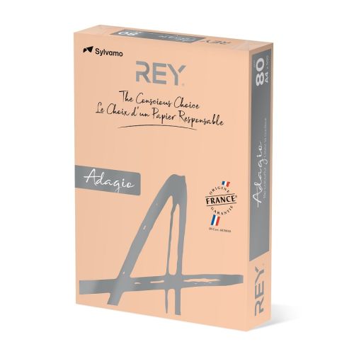 Копирна хартия REY Adagio, A4, 80 г, наситен цвят Beige (98), пакет 500 л. 1