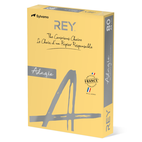 Копирна хартия REY Adagio, A4, 80 г, наситен цвят Buttercup (02), пакет 500 л.