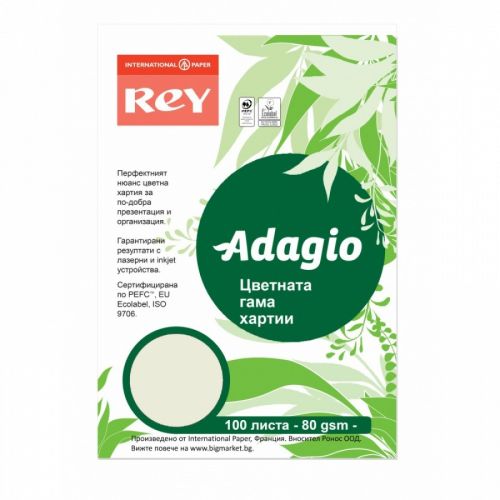 Копирна хартия REY Adagio, A4, 80 г, пастелен цвят Pistachio (33), пакет 100 л. — Joya.bg