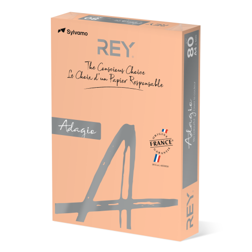Копирна хартия REY Adagio, A4, 80 г, пастелен цвят Salmon (91), пакет 500 л. 1