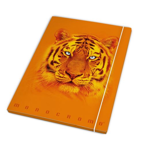 Папка с ластик и 3 капака PIGNA Monocromo, А4, картон с UV лак, оранжева — Joya.bg 1