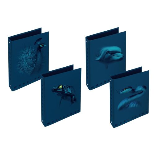 Рингов класьор PIGNA Monocromo Blue, A4, 40 мм, 4 ринга D30 мм, ламиниран картон, син — Joya.bg