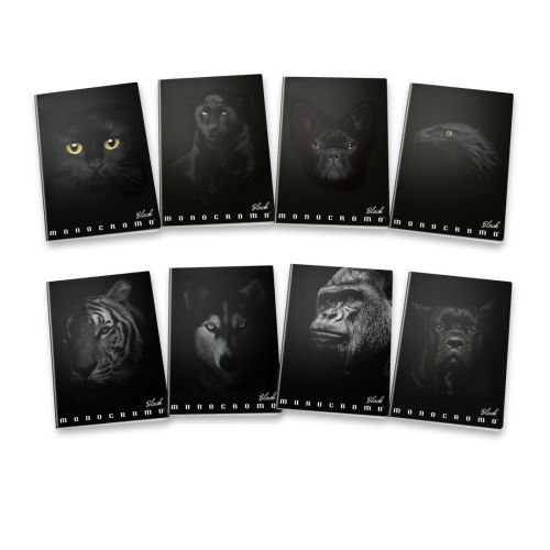 Тетрадка PIGNA Monocromo Black, А4, 40 л., линиран офсет 100 г, корица 240 г, мат ламинат, UV лак — Joya.bg 1