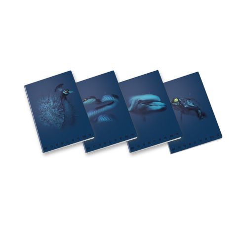 Тетрадка PIGNA Monocromo Blue, А4, 40 л., линиран офсет 100 г, корица 240 г, мат ламинат, UV лак — Joya.bg 1