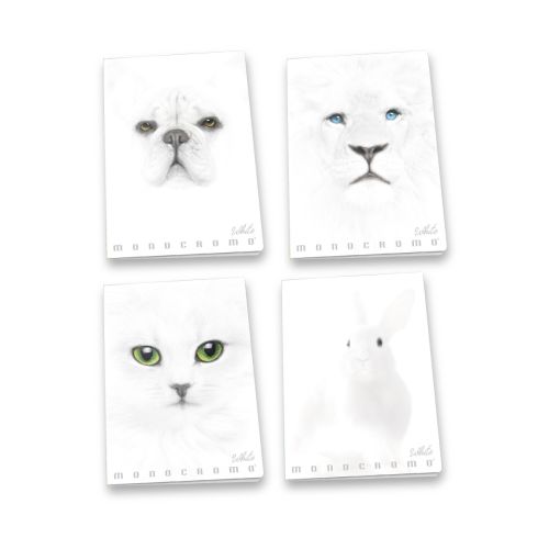 Тетрадка PIGNA Monocromo White, А4, 40 л., линиран офсет 100 г, корица 240 г, мат ламинат, UV лак — Joya.bg 1