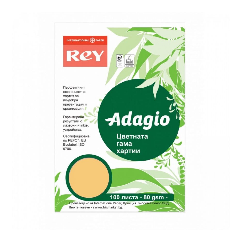 Копирна хартия REY Adagio, A4, 80 г, наситен цвят Beige (98), пакет 100 л.