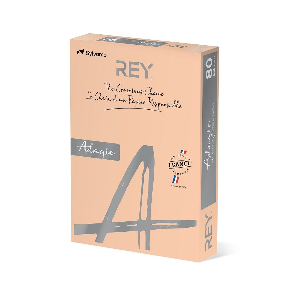 Копирна хартия REY Adagio, A4, 80 г, наситен цвят Beige (98), пакет 500 л.