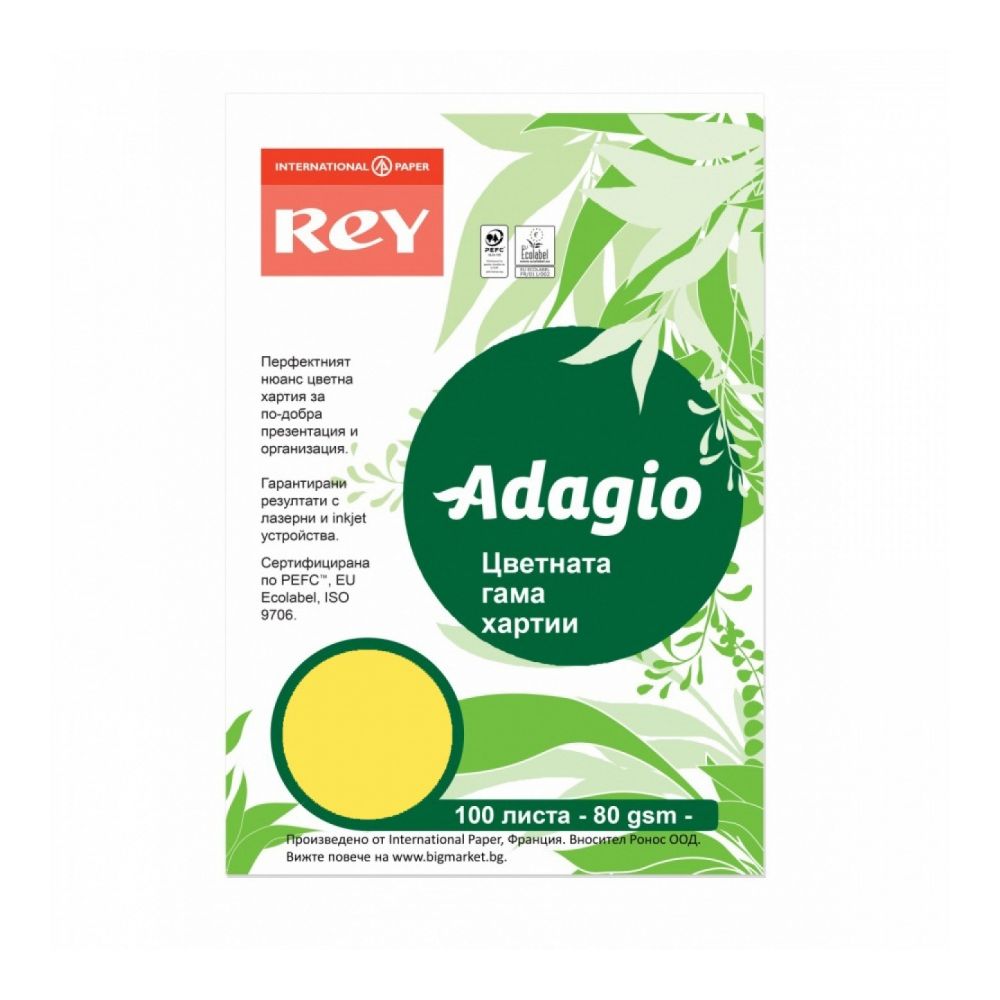 Копирна хартия REY Adagio, A4, 80 г, наситен цвят Citrus (58), пакет 100 л.