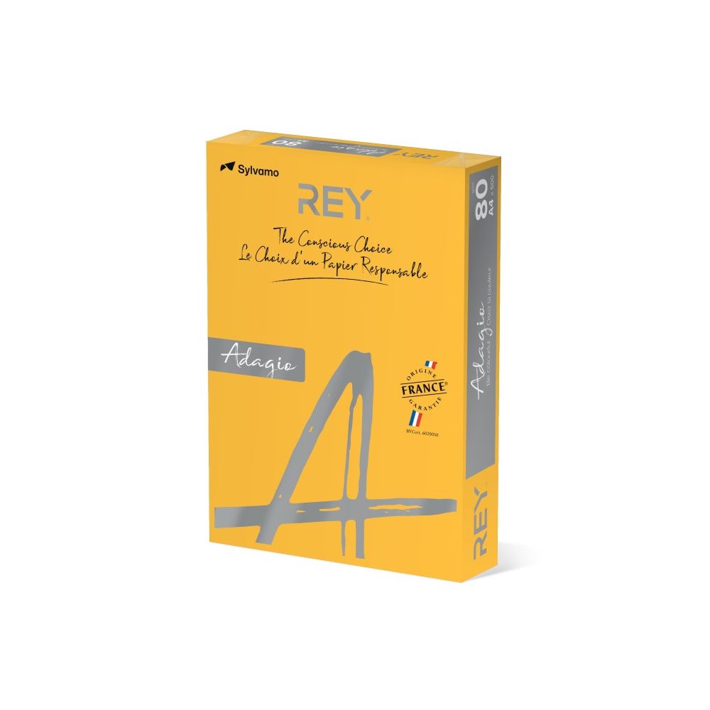 Копирна хартия REY Adagio, A4, 80 г, наситен цвят Gold (60), пакет 500 л.