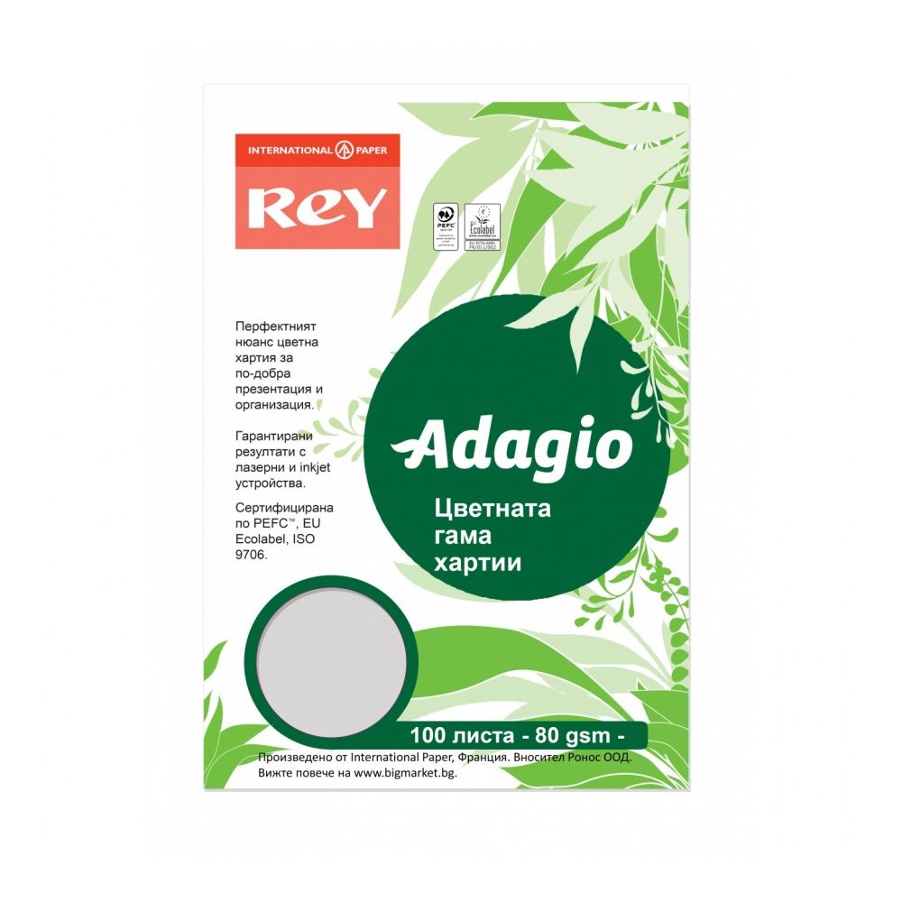 Копирна хартия REY Adagio, A4, 80 г, наситен цвят Grey (06), пакет 100 л.
