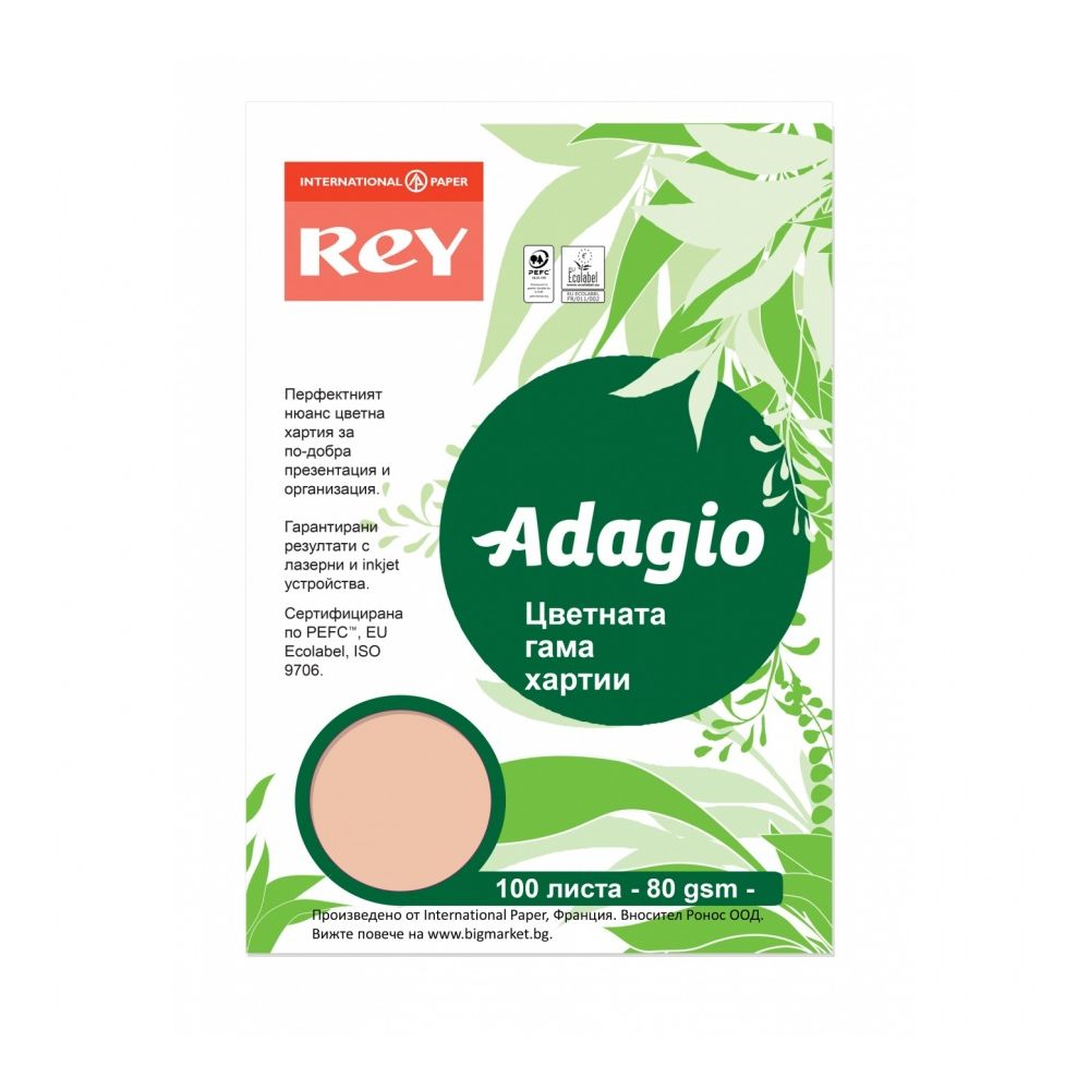 Копирна хартия REY Adagio, A4, 80 г, наситен цвят Peach (55), пакет 100 л.