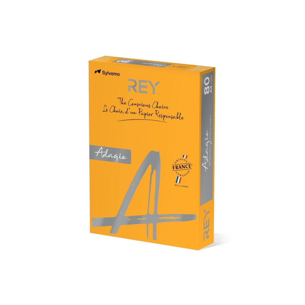 Копирна хартия REY Adagio, A4, 80 г, наситен цвят Pumkin (70), пакет 500 л.