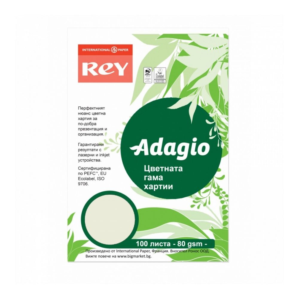 Копирна хартия REY Adagio, A4, 80 г, пастелен цвят Pistachio (33), пакет 100 л.