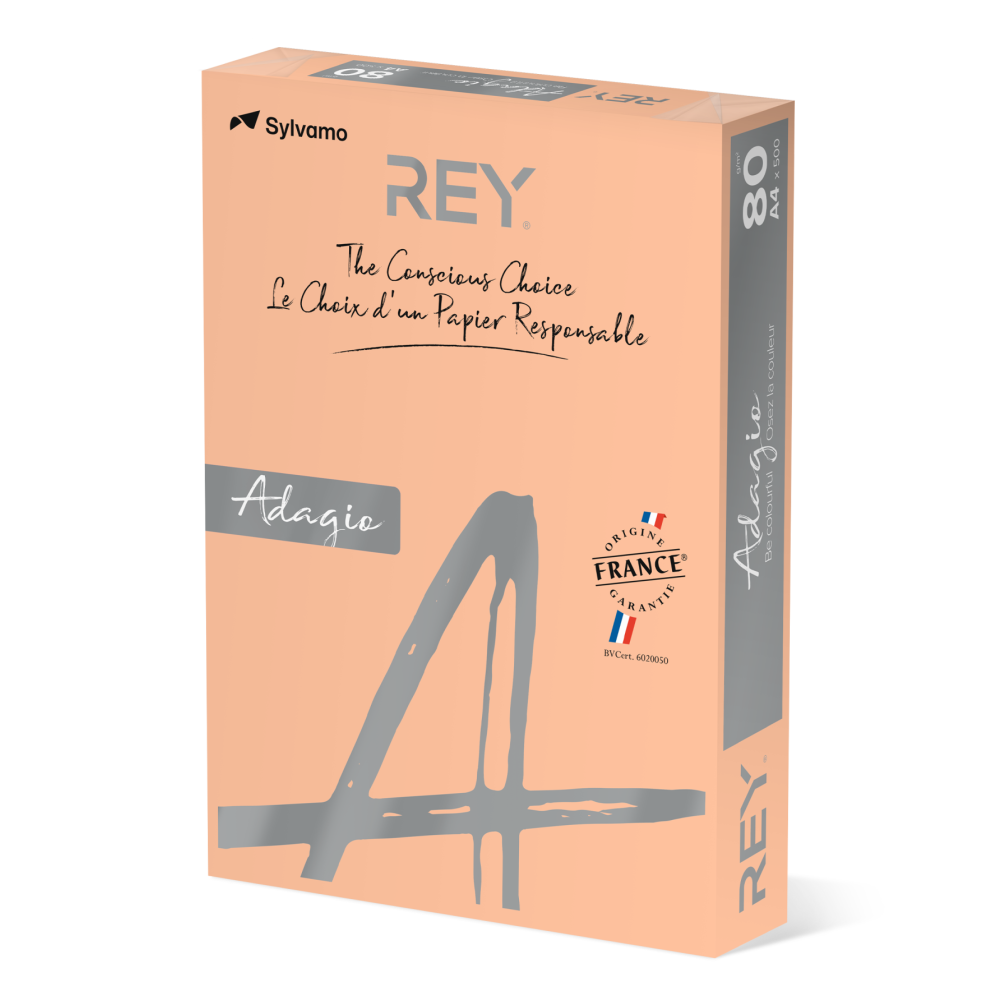 Копирна хартия REY Adagio, A4, 80 г, пастелен цвят Salmon (91), пакет 500 л.