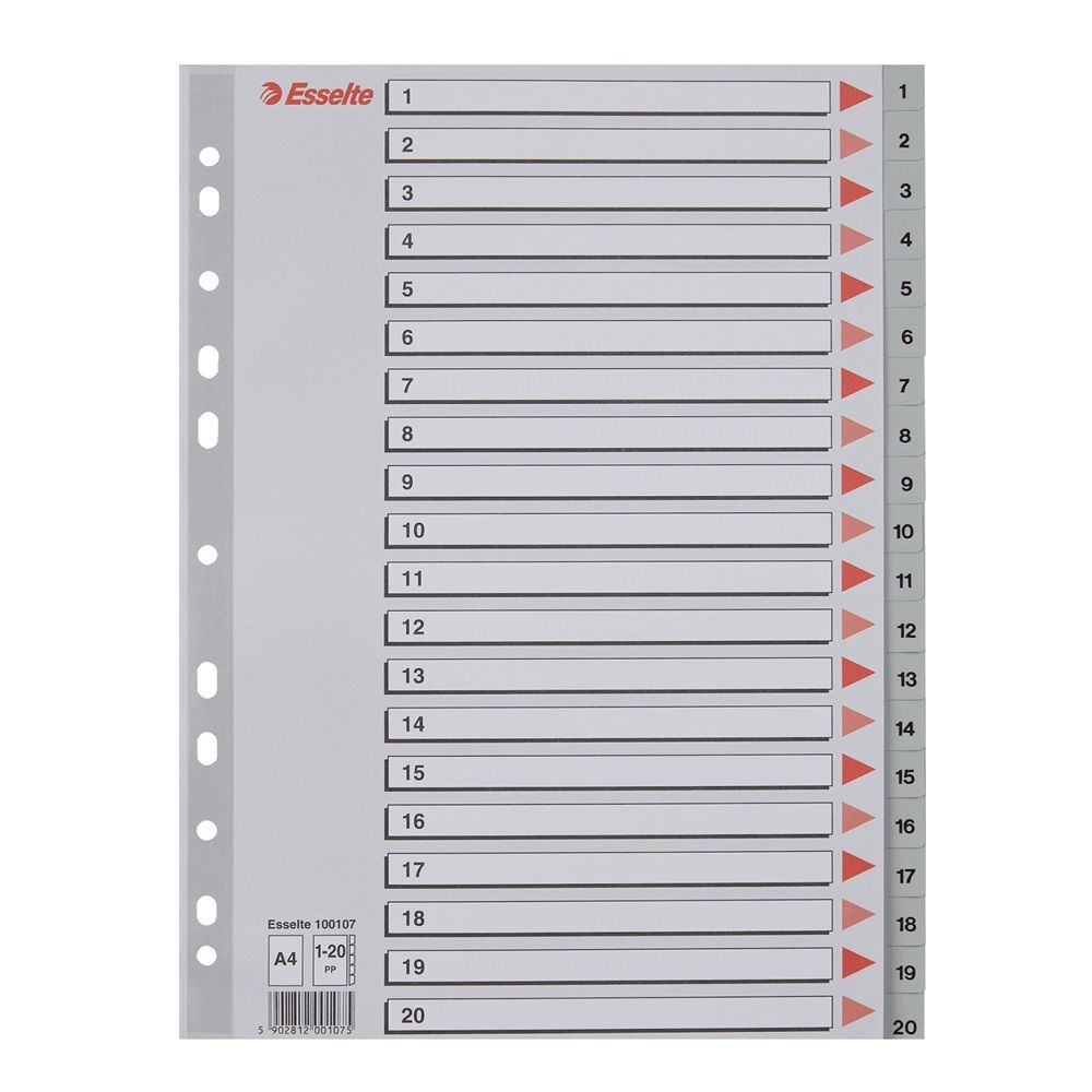 Разделител Esselte, 1-20, PP 120 mic, A4, сив, подсилена европерфорация, лицева страница