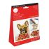 Комплект за рисуване с маслени бои DALER-ROWNEY Activity Set Oil - Animal, 12 части — Joya.bg 1