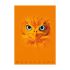 Тетрадка PIGNA Monocromo Orange, А4, 40 л., линиран офсет 100 г, корица 240 г, мат ламинат, UV лак — Joya.bg 1